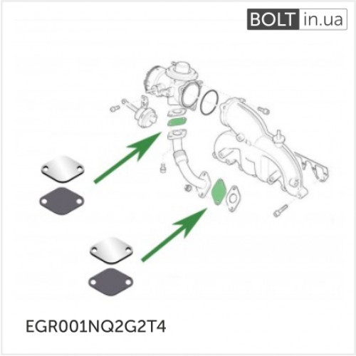 EGR001NQ2G2T4_2-500x500-500x500.jpg
