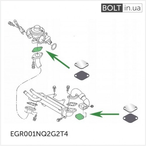 EGR001NQ2G2T4_3-500x500-500x500.jpg